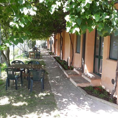 Agriturismo Le Serre Riparbella Exterior foto